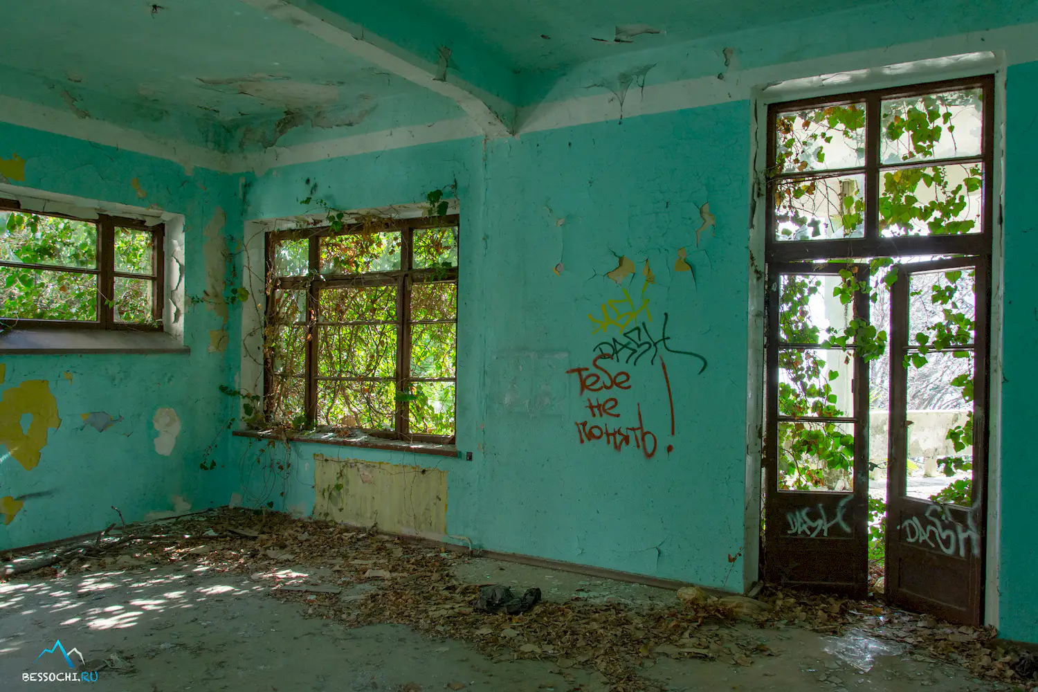 НИИ Курортологии