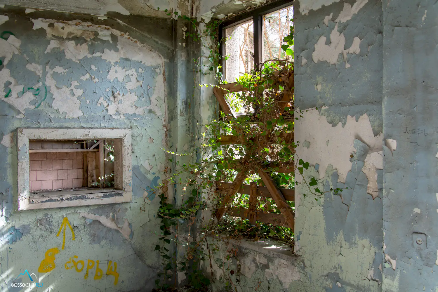 НИИ Курортологии