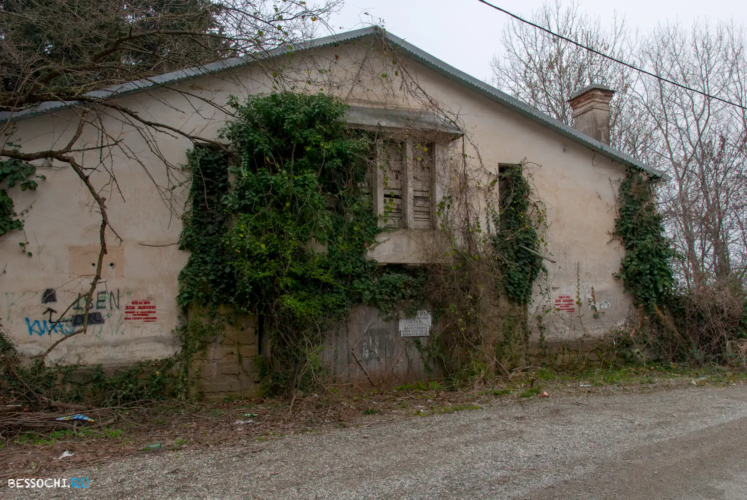 Дача Квитко