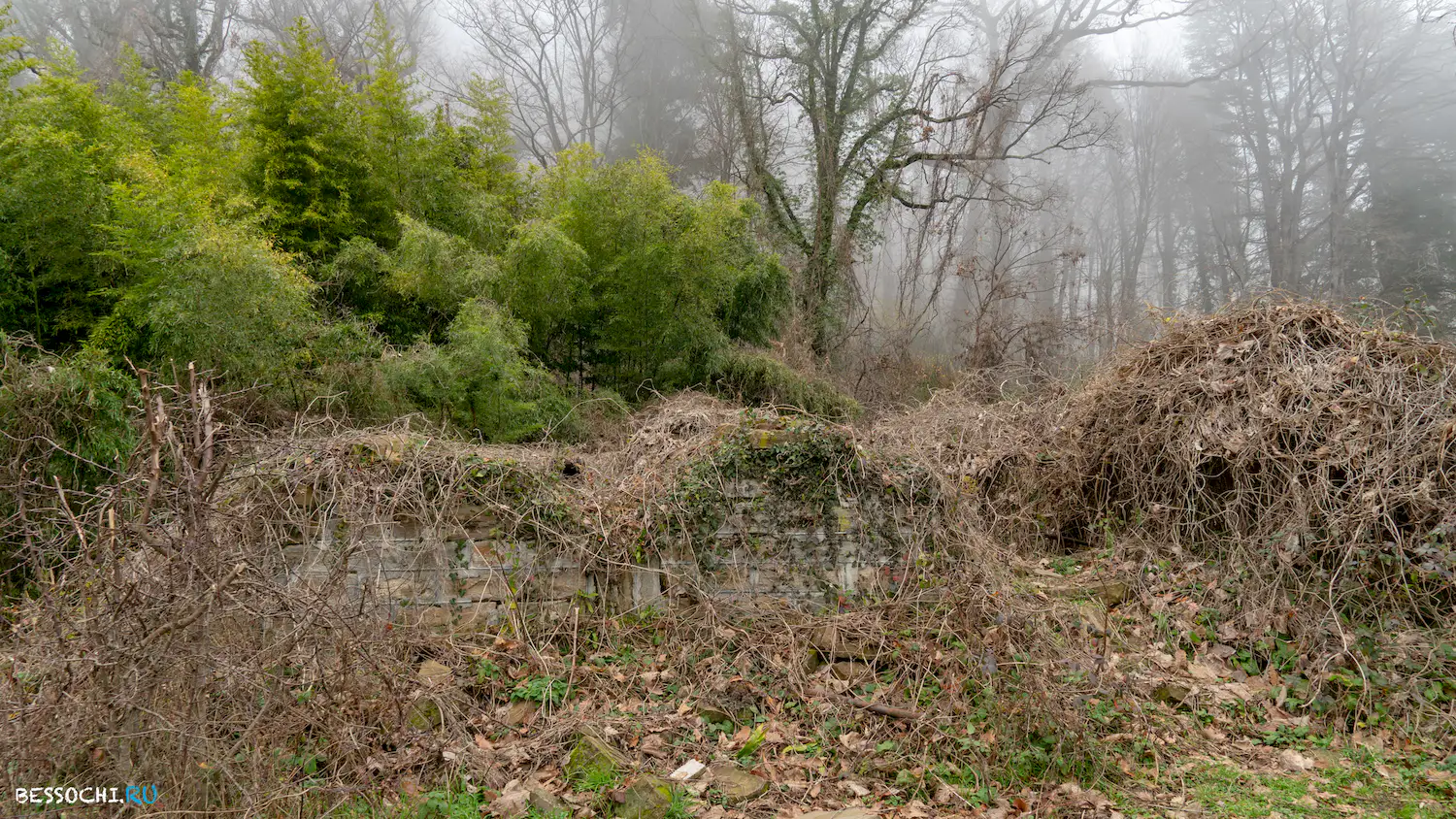 Дача Картавцева