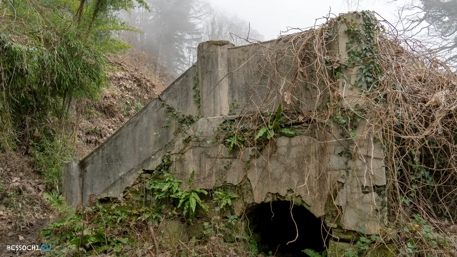 Дача Картавцева