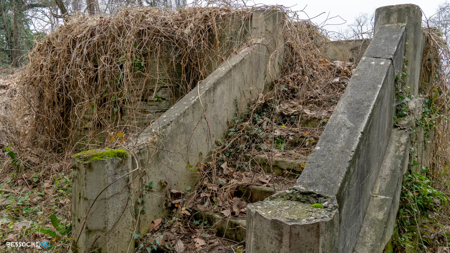 Дача Картавцева