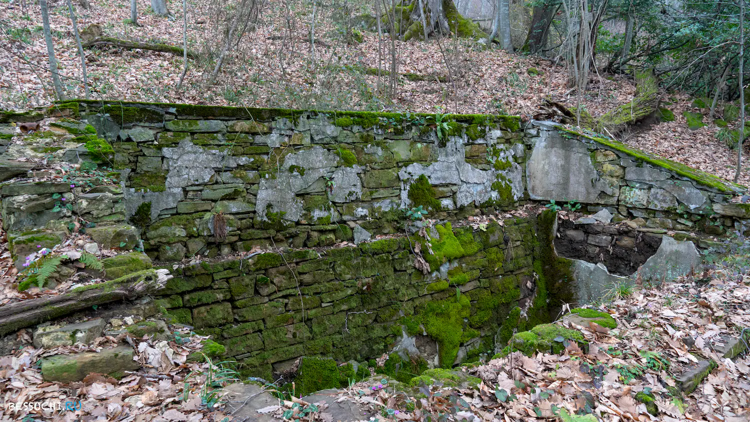 Дача Картавцева