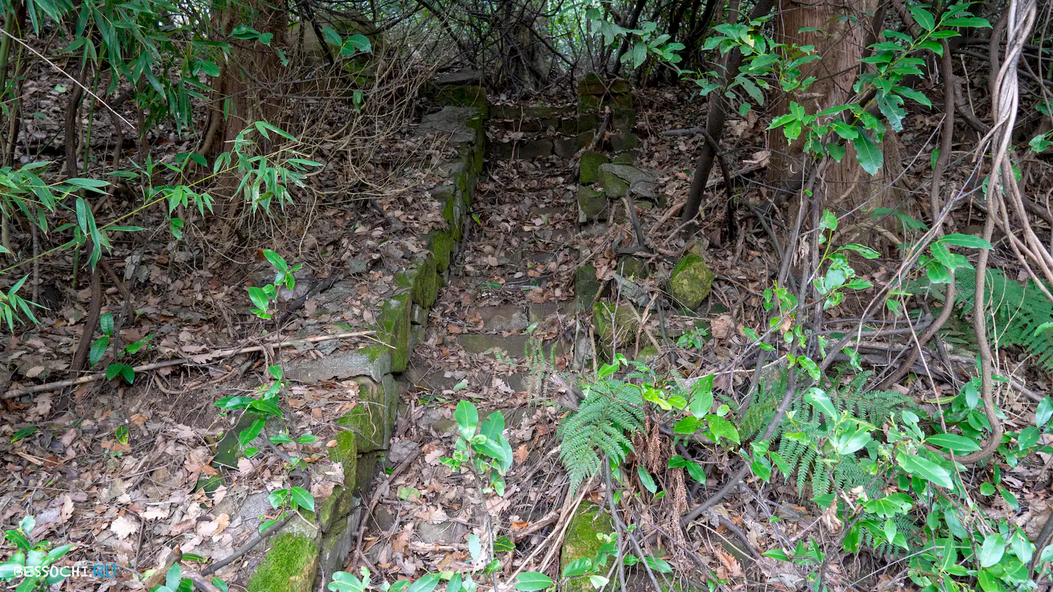 Дача Картавцева