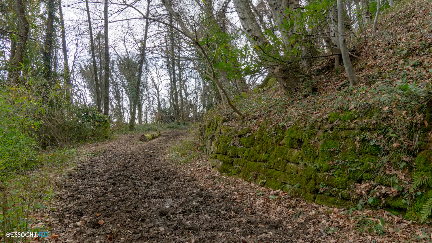 Дача Картавцева