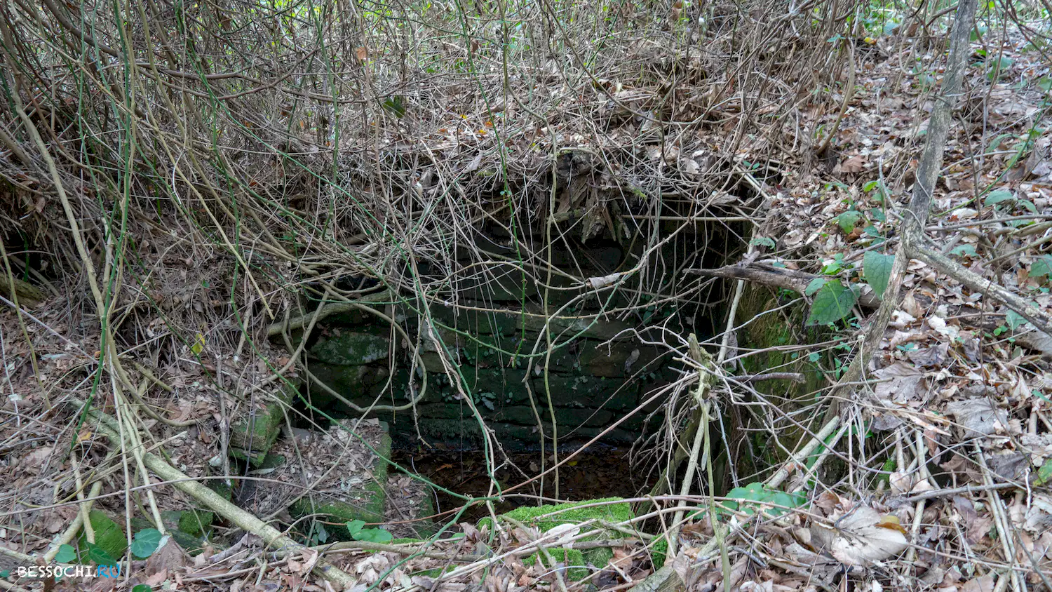 Дача Картавцева