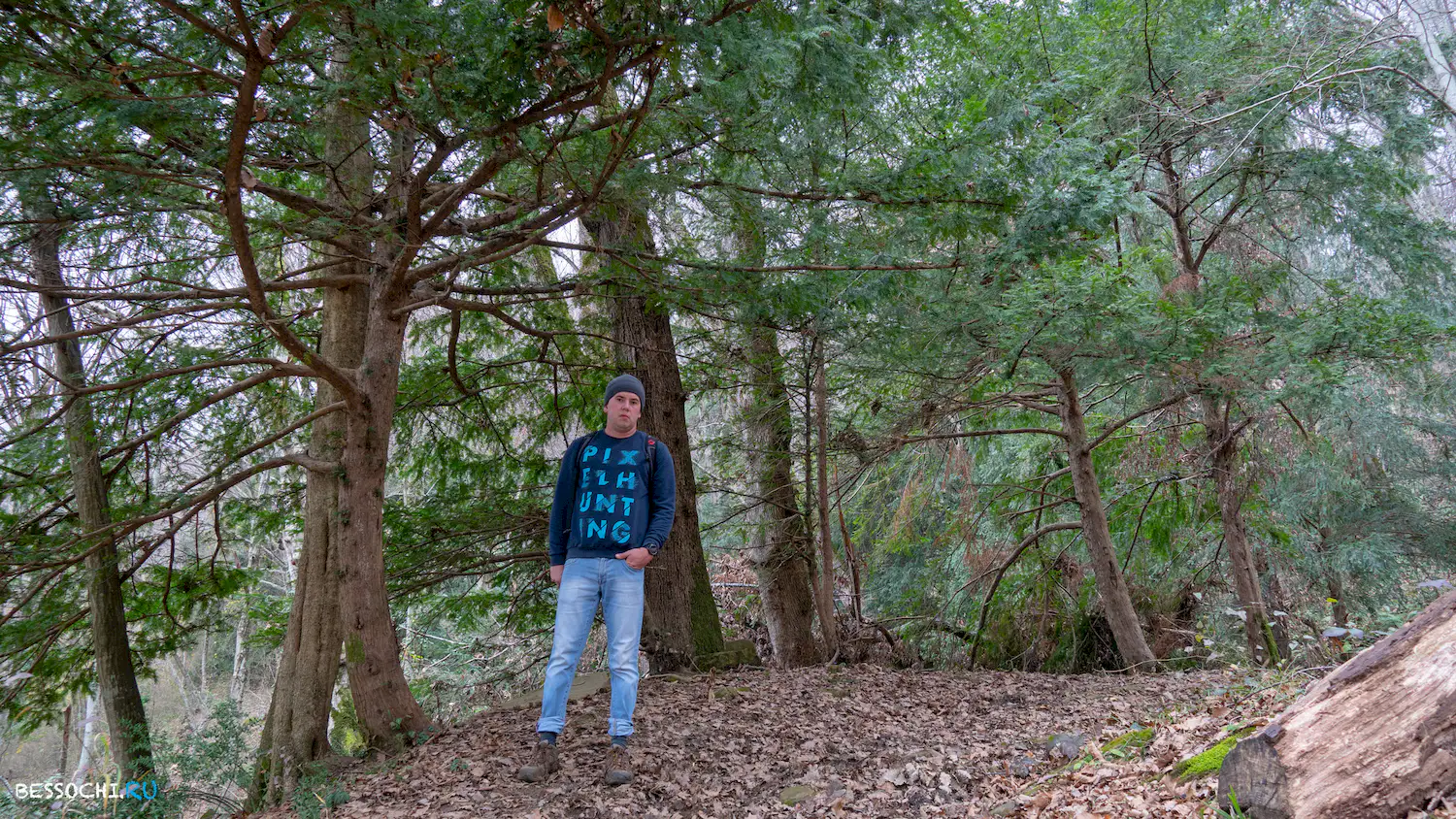 Дача Картавцева