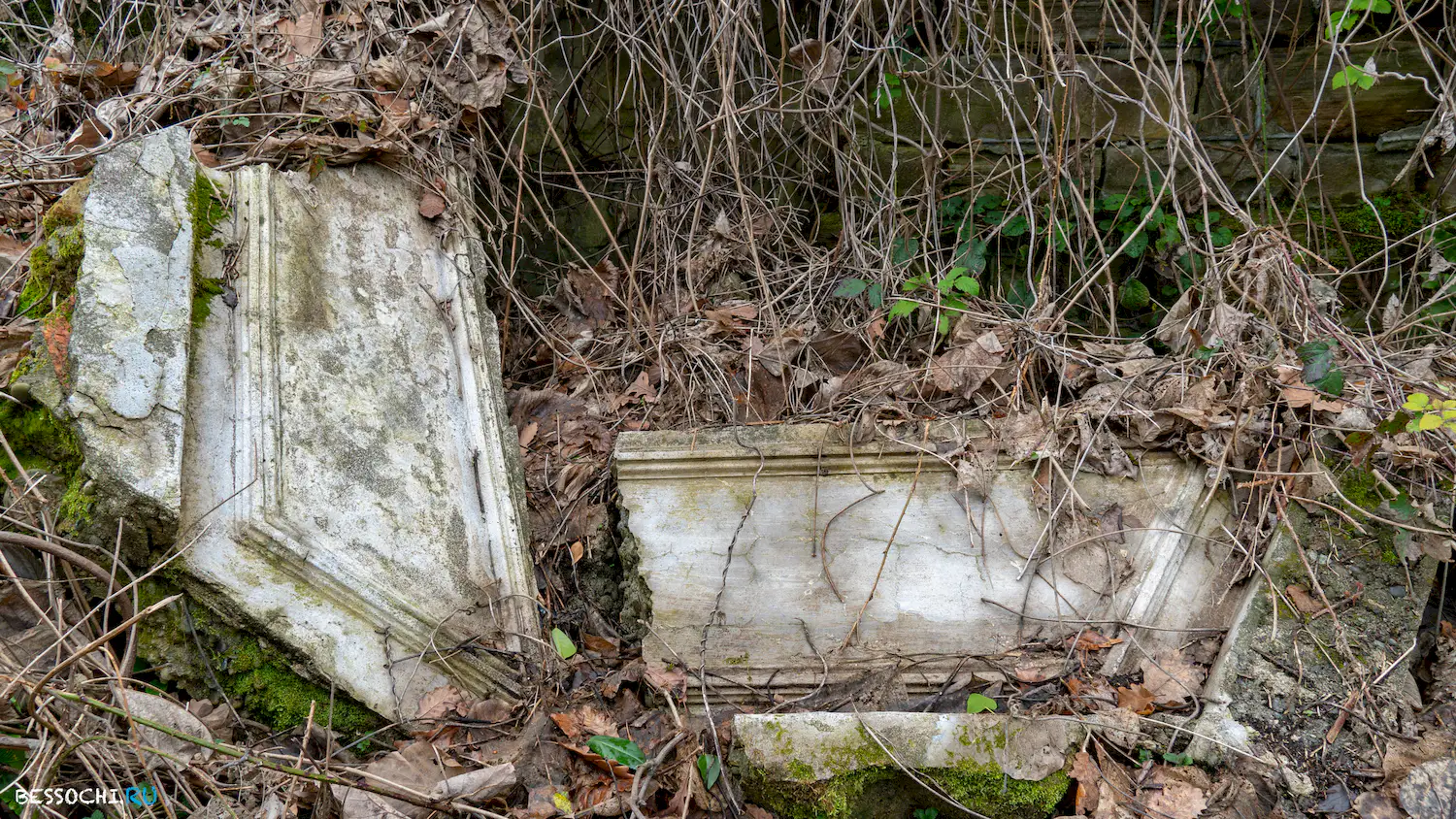 Дача Картавцева