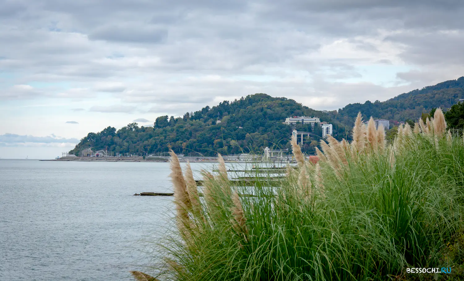 Ноябрь Сочи