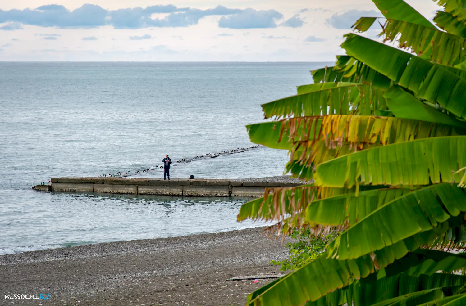 Ноябрь Сочи