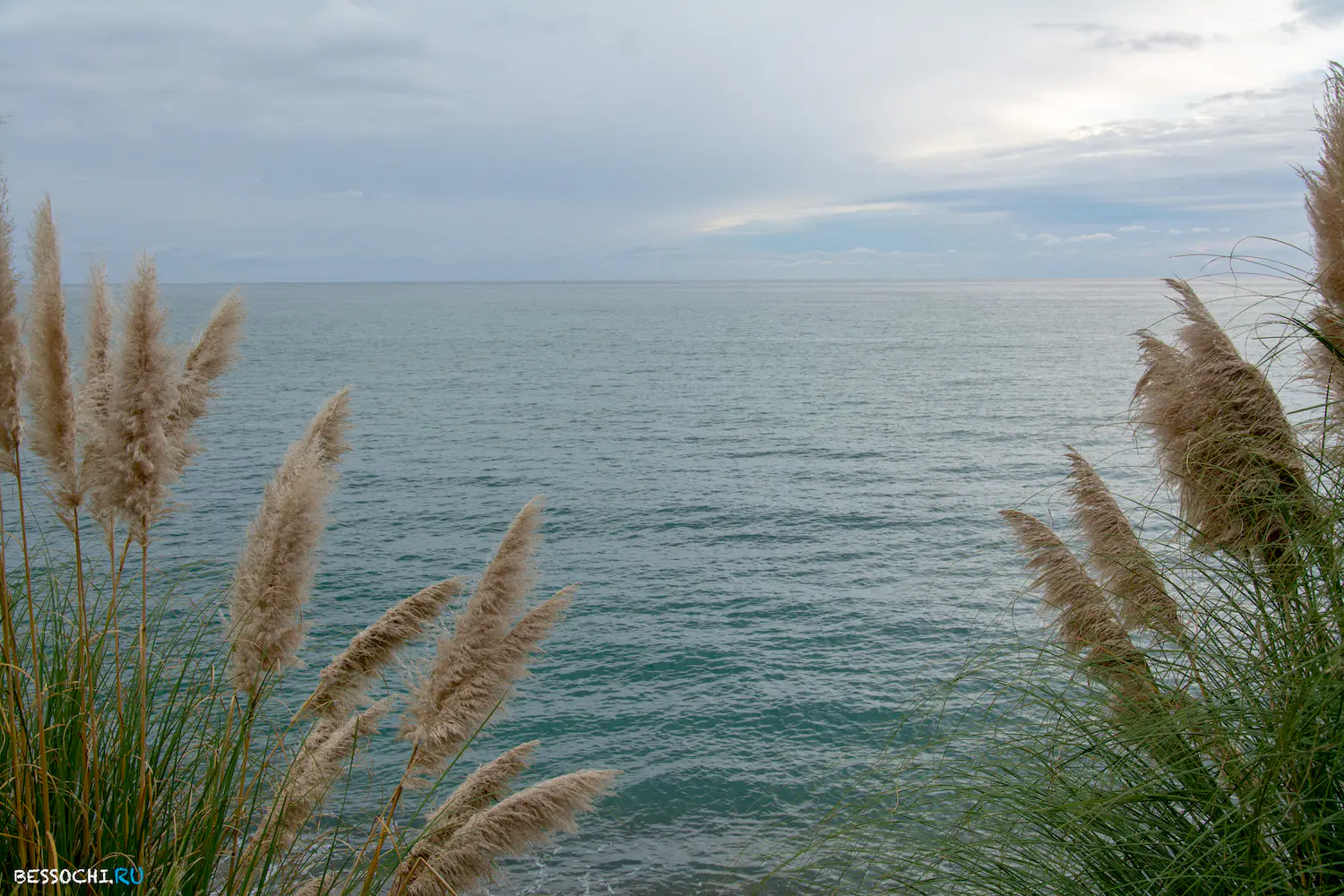 Ноябрь Сочи