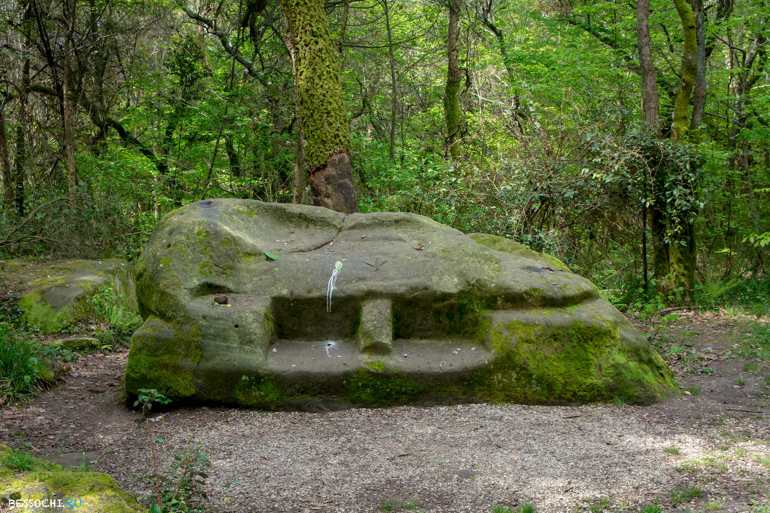 Кудепстинский лесопарк