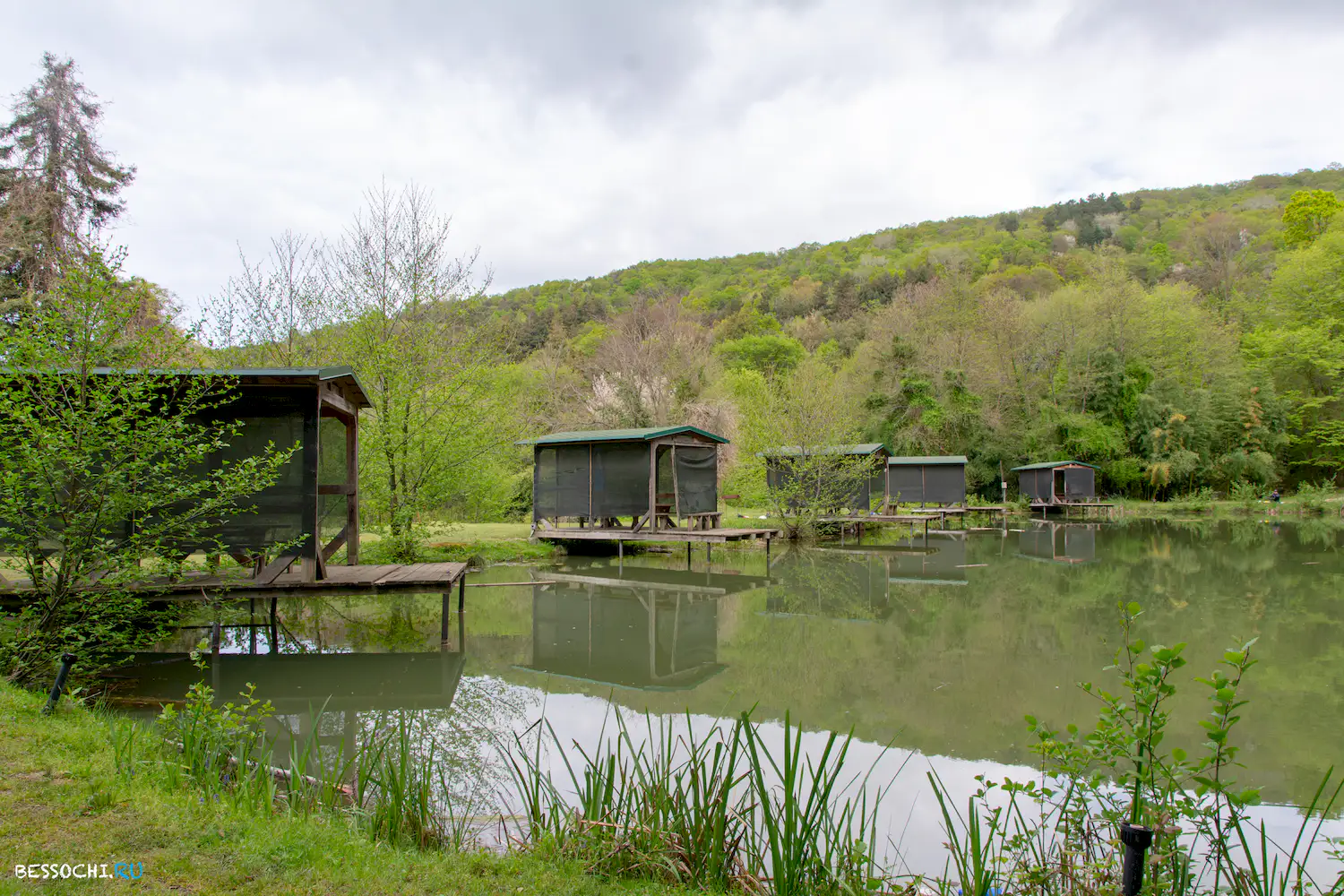 Кудепстинский лесопарк