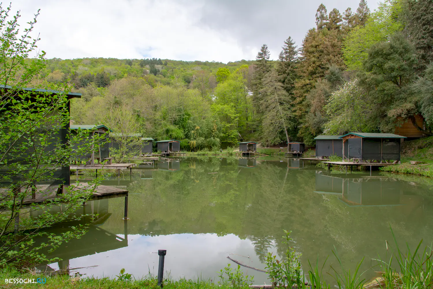 Кудепстинский лесопарк