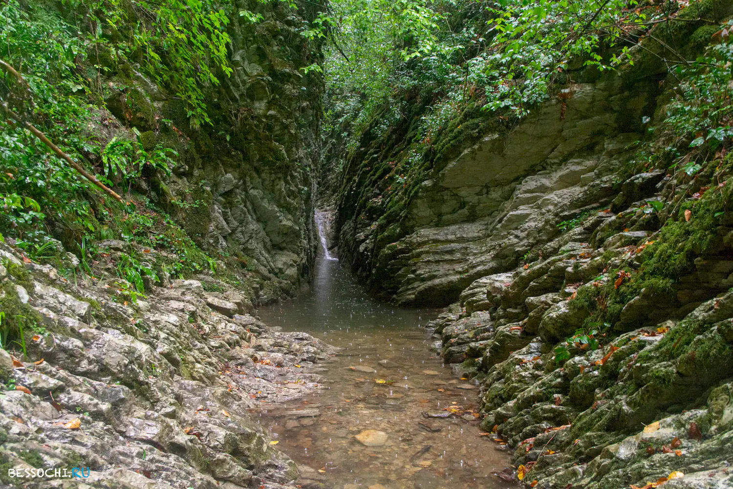 Крабовое ущелье