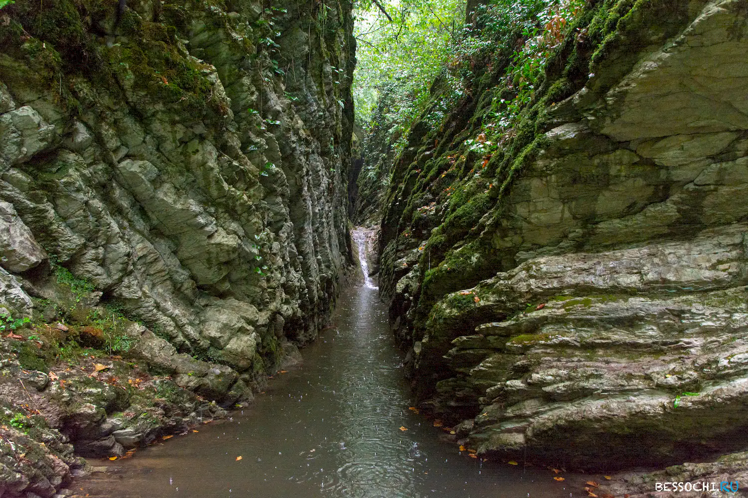 Крабовое ущелье