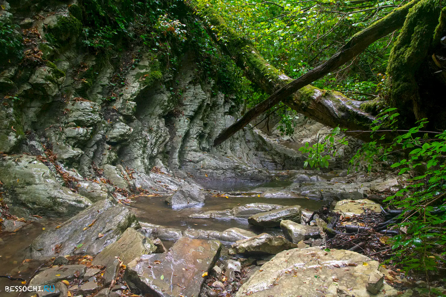 Крабовое ущелье