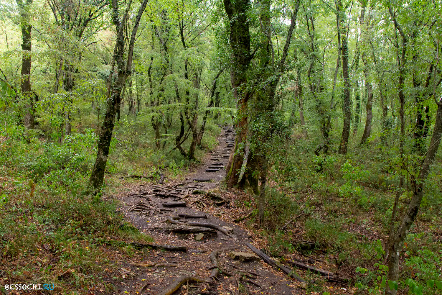 Крабовое ущелье