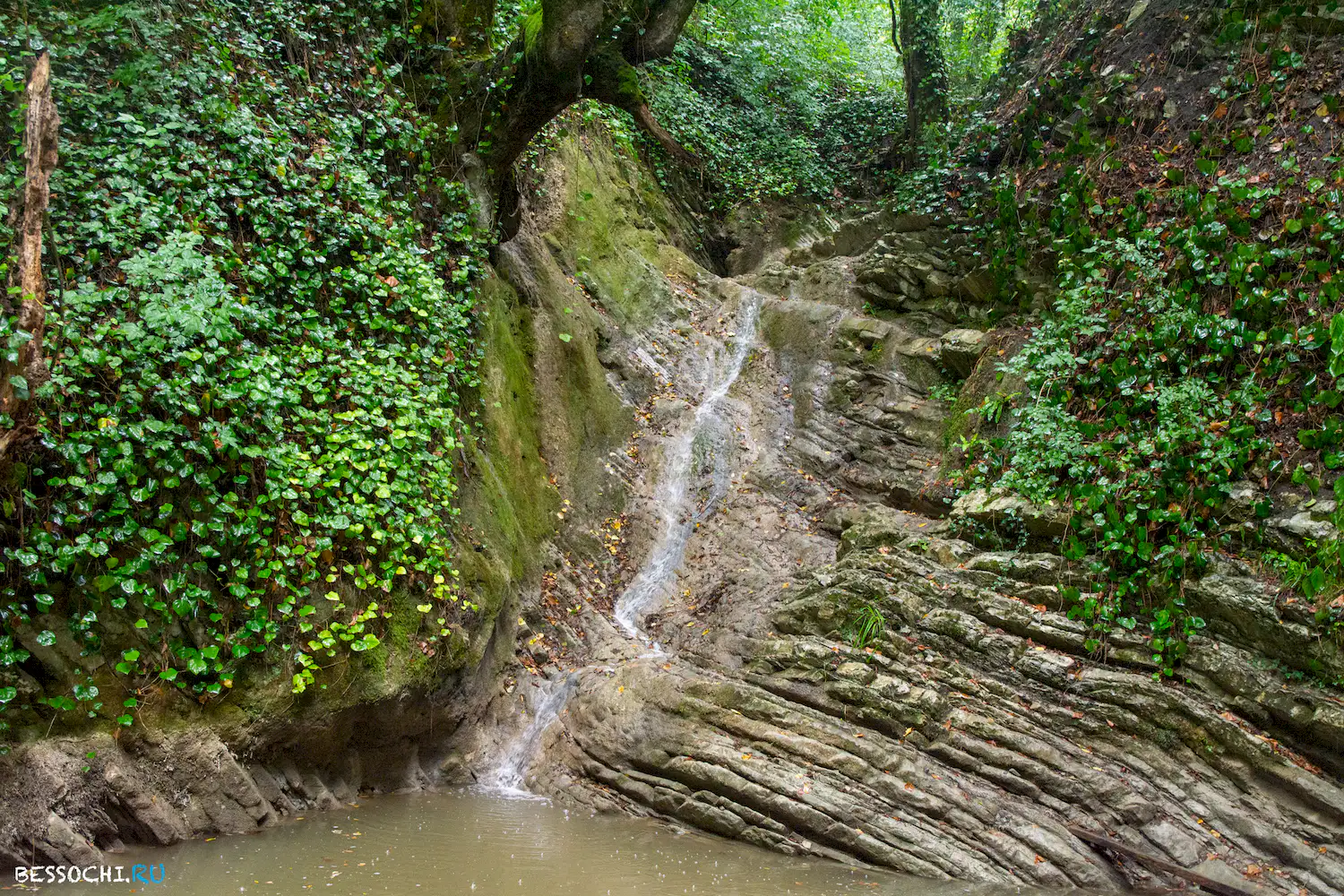 Крабовое ущелье