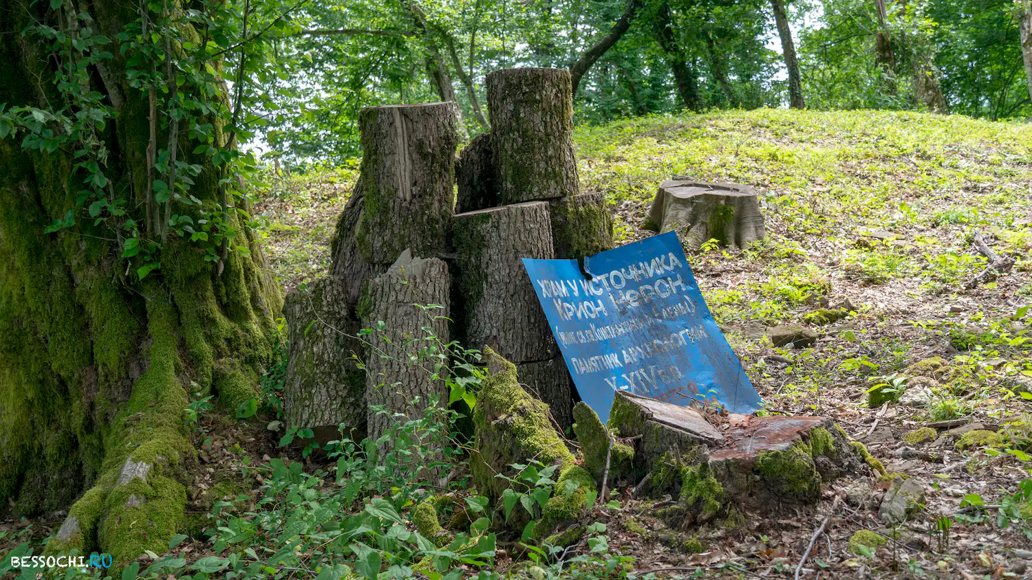 Крион Нерон