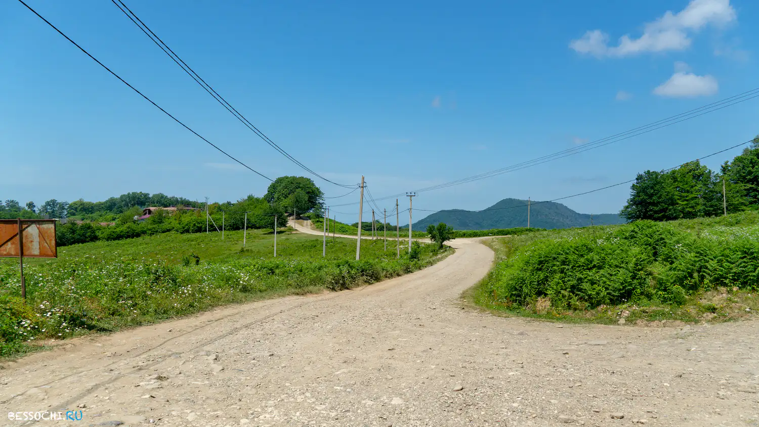 Мацестинский чайсовхоз