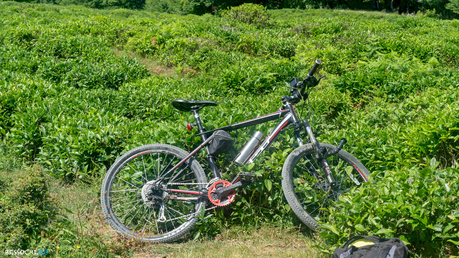 Калиновое озеро