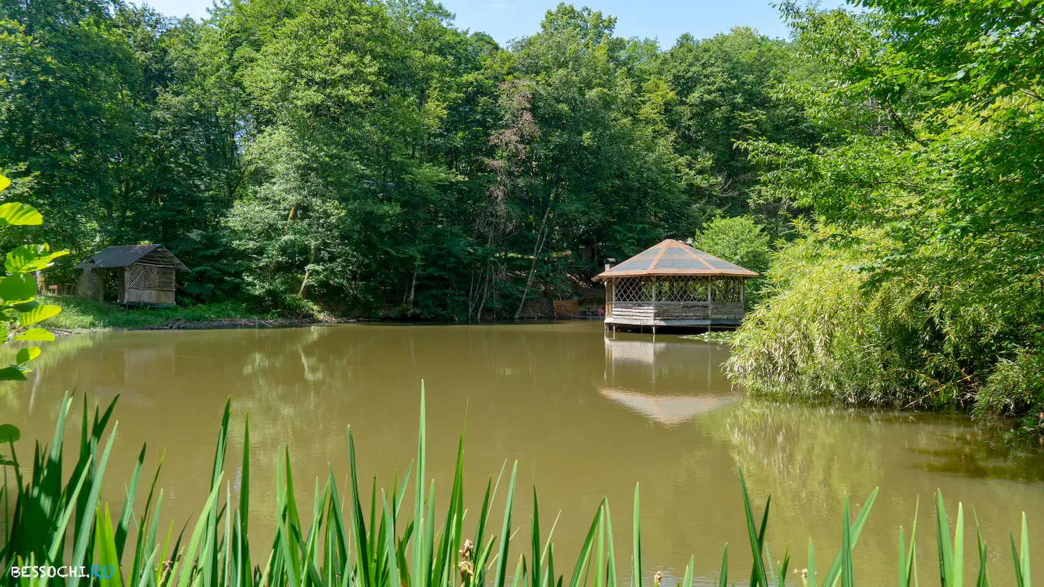 Лебедево озеро