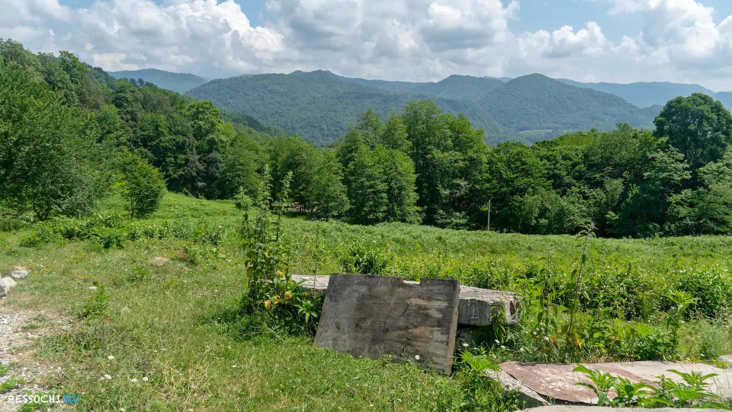 Мацестинский чайсовхоз