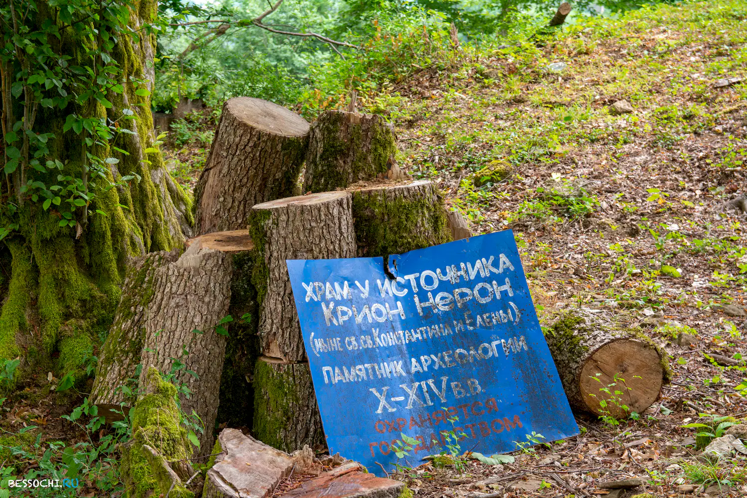 Крион Нерон