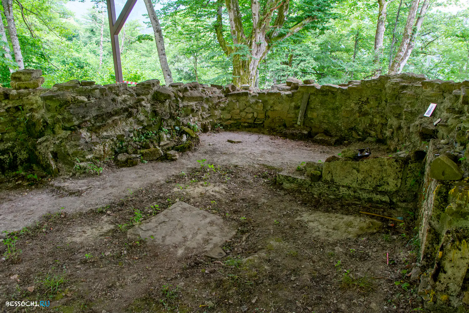 Крион Нерон