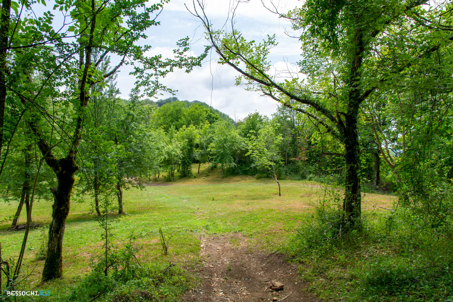 село Лесное