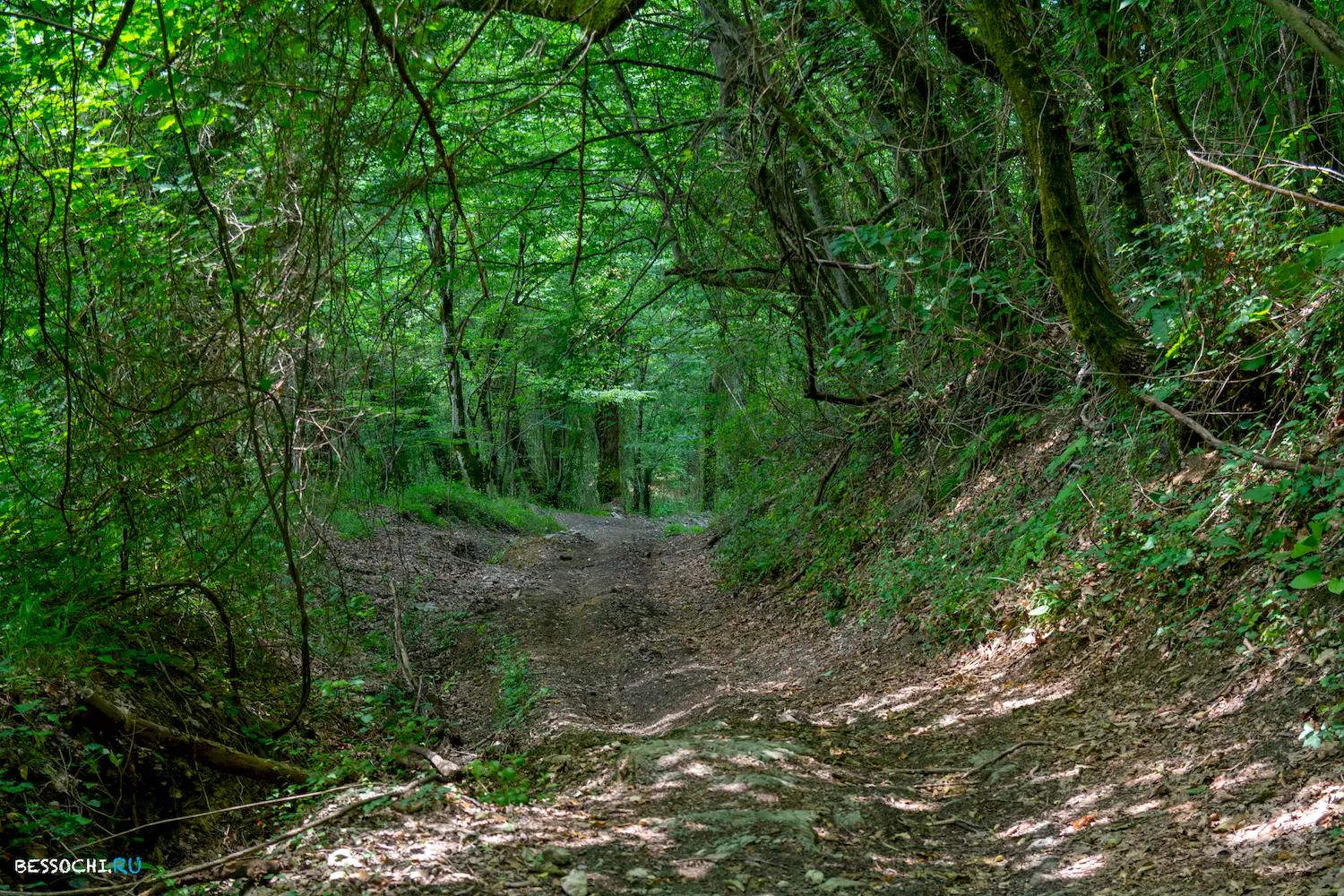 Воронцовка