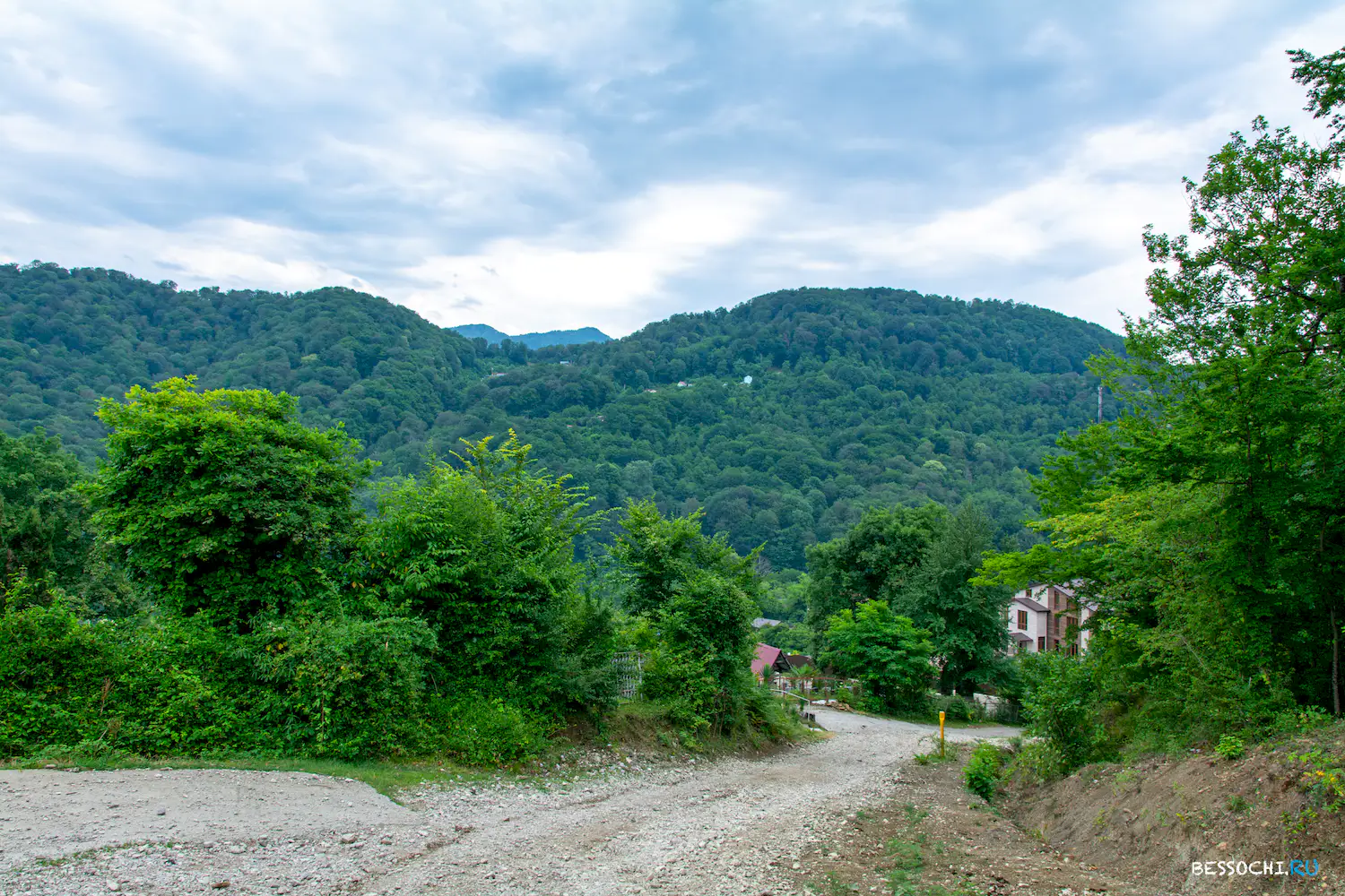 село Лесное