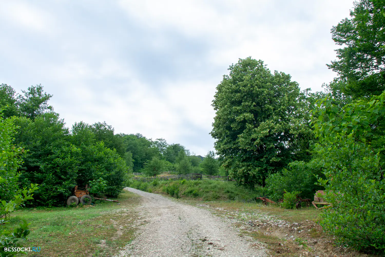 село Лесное