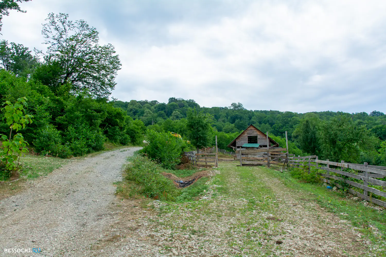 село Лесное