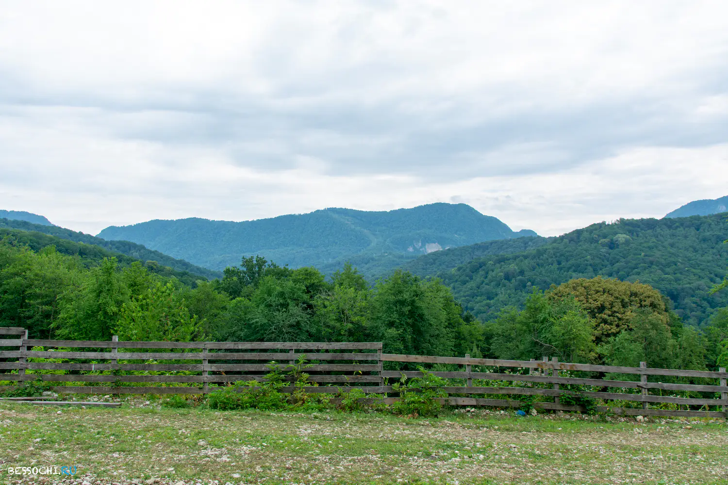 село Лесное