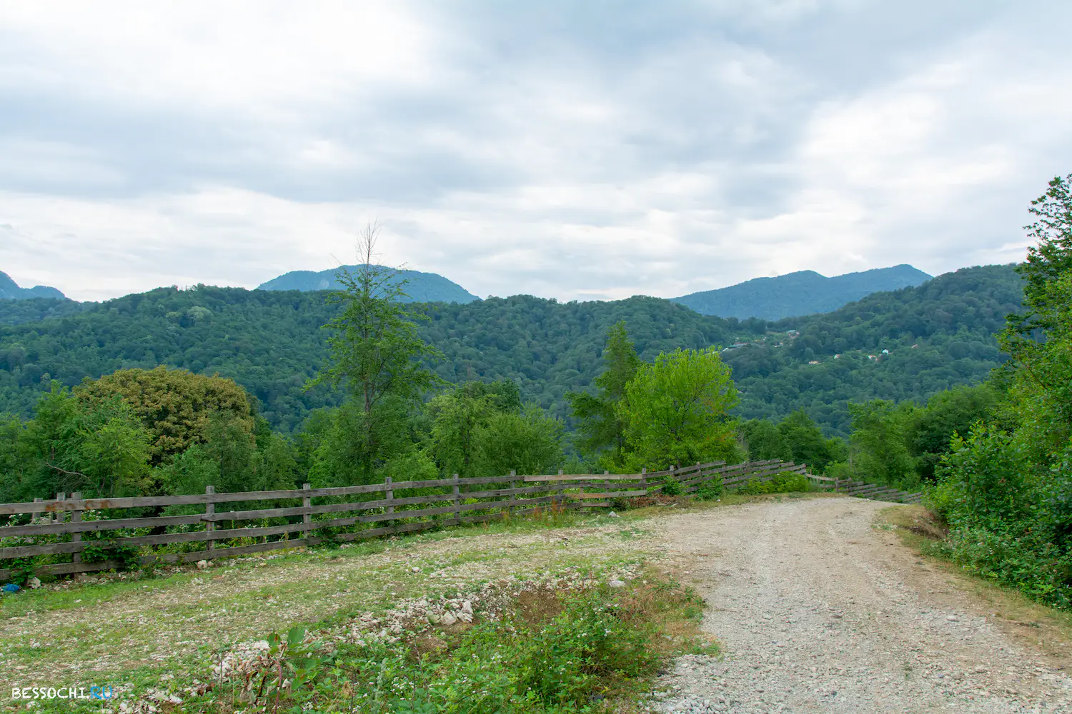 село Лесное