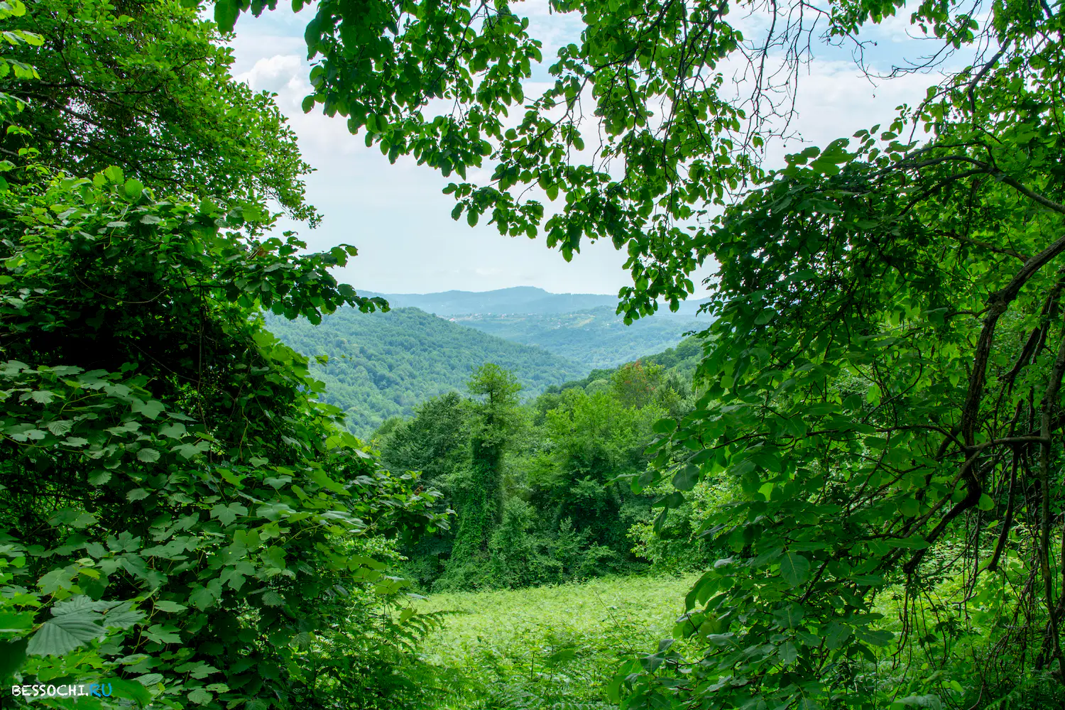 село Лесное