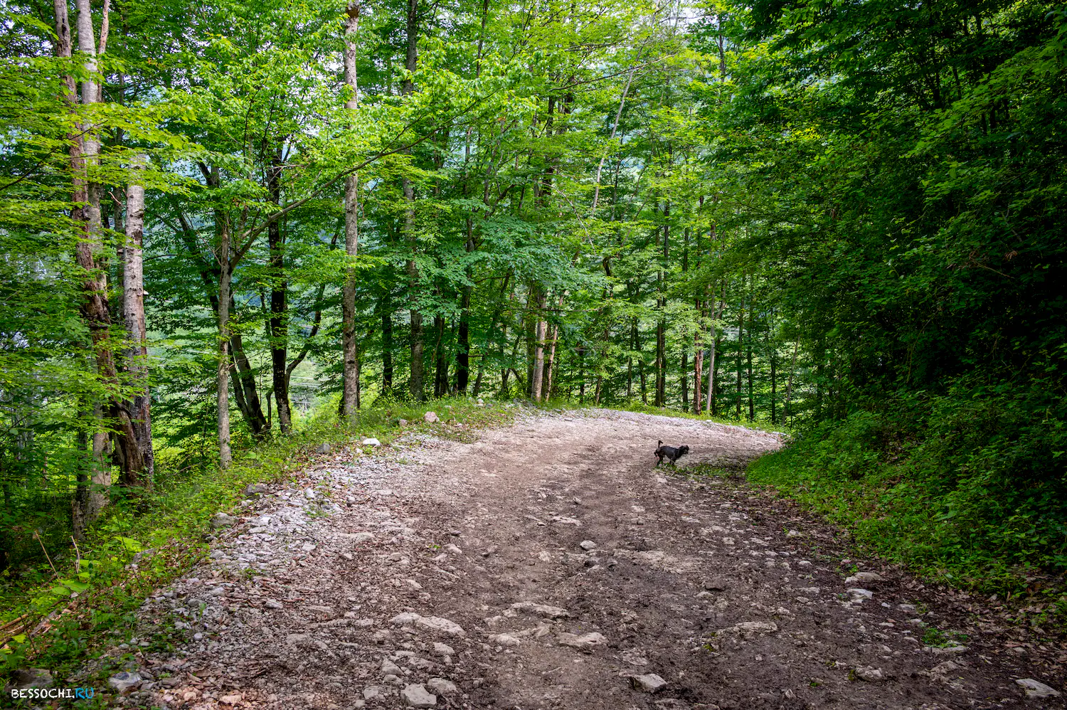 село Монастырь