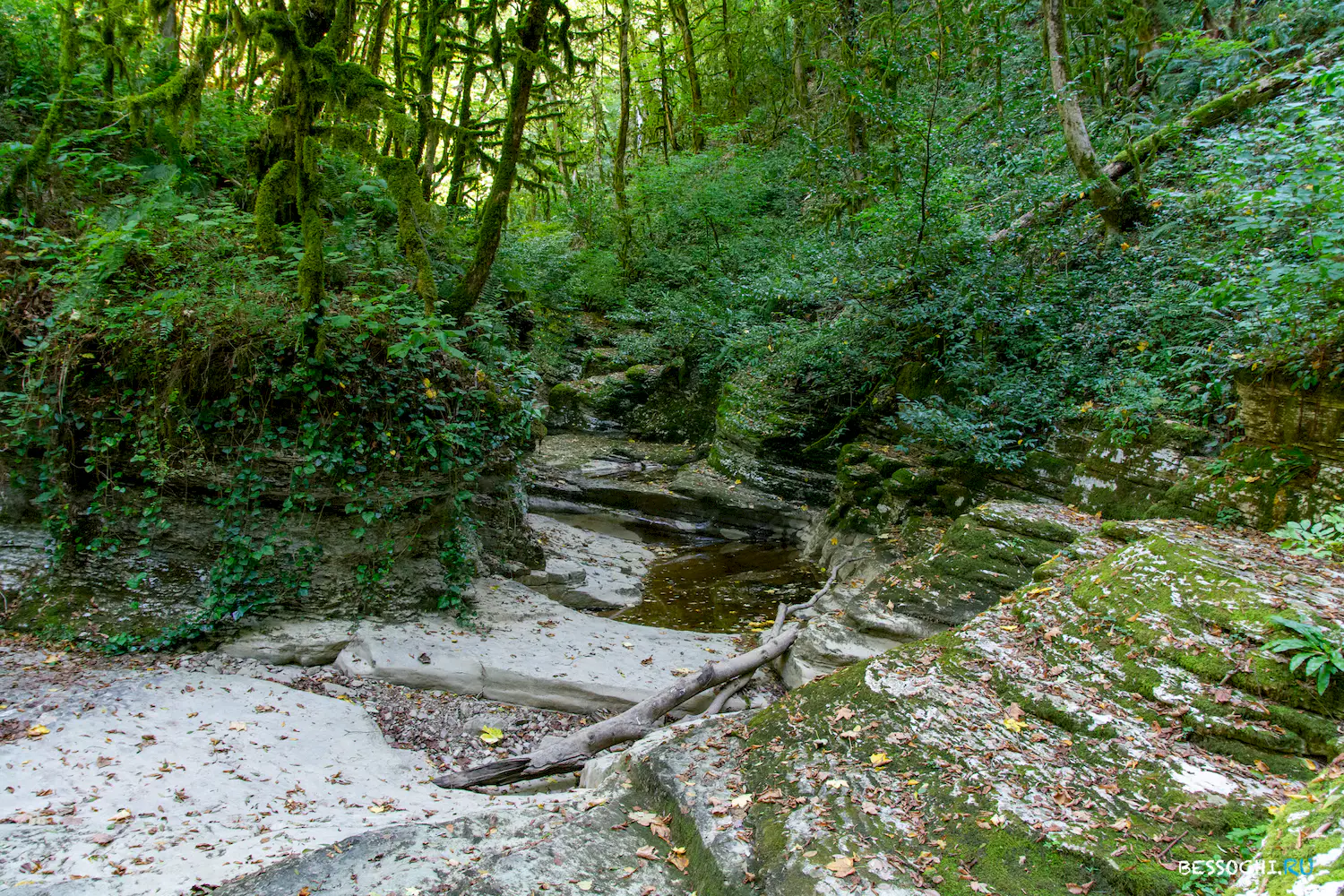 Дзыхринский каньон