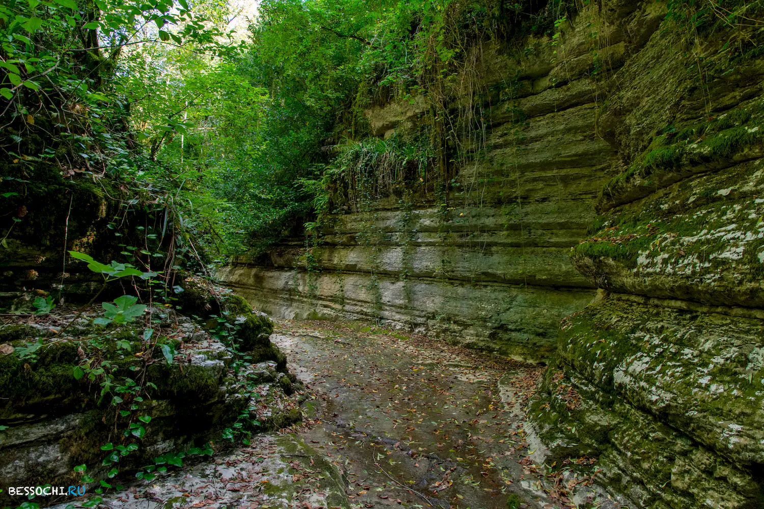 Дзыхринский каньон