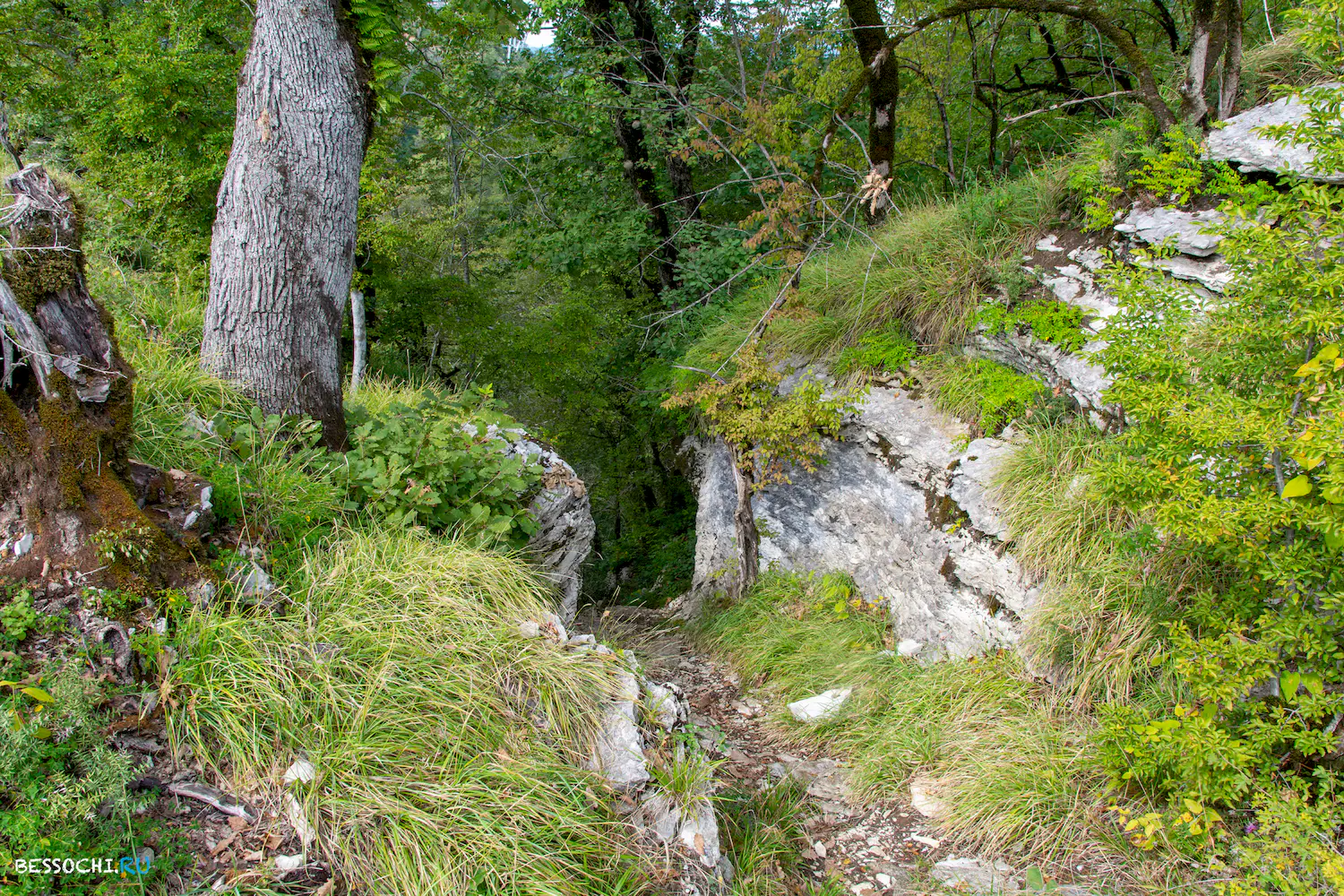 Дзыхринский каньон