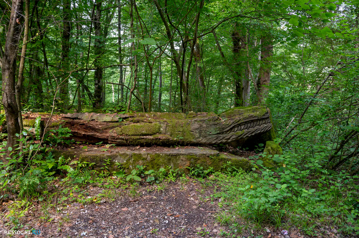 Мацестинский лесопарк