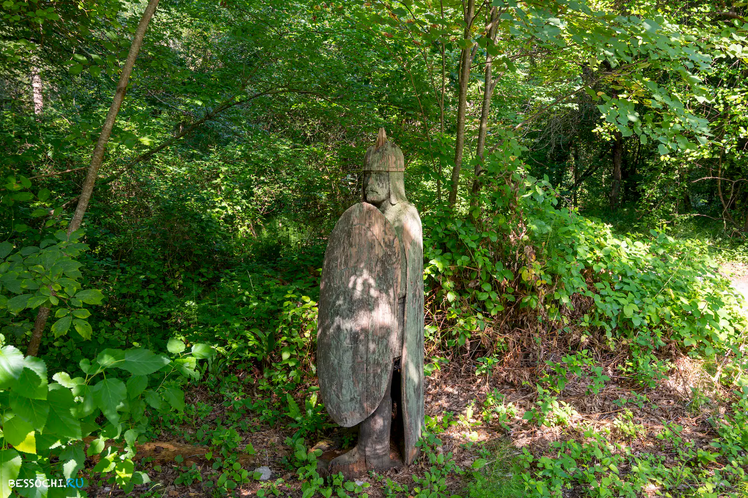 Мацестинский лесопарк