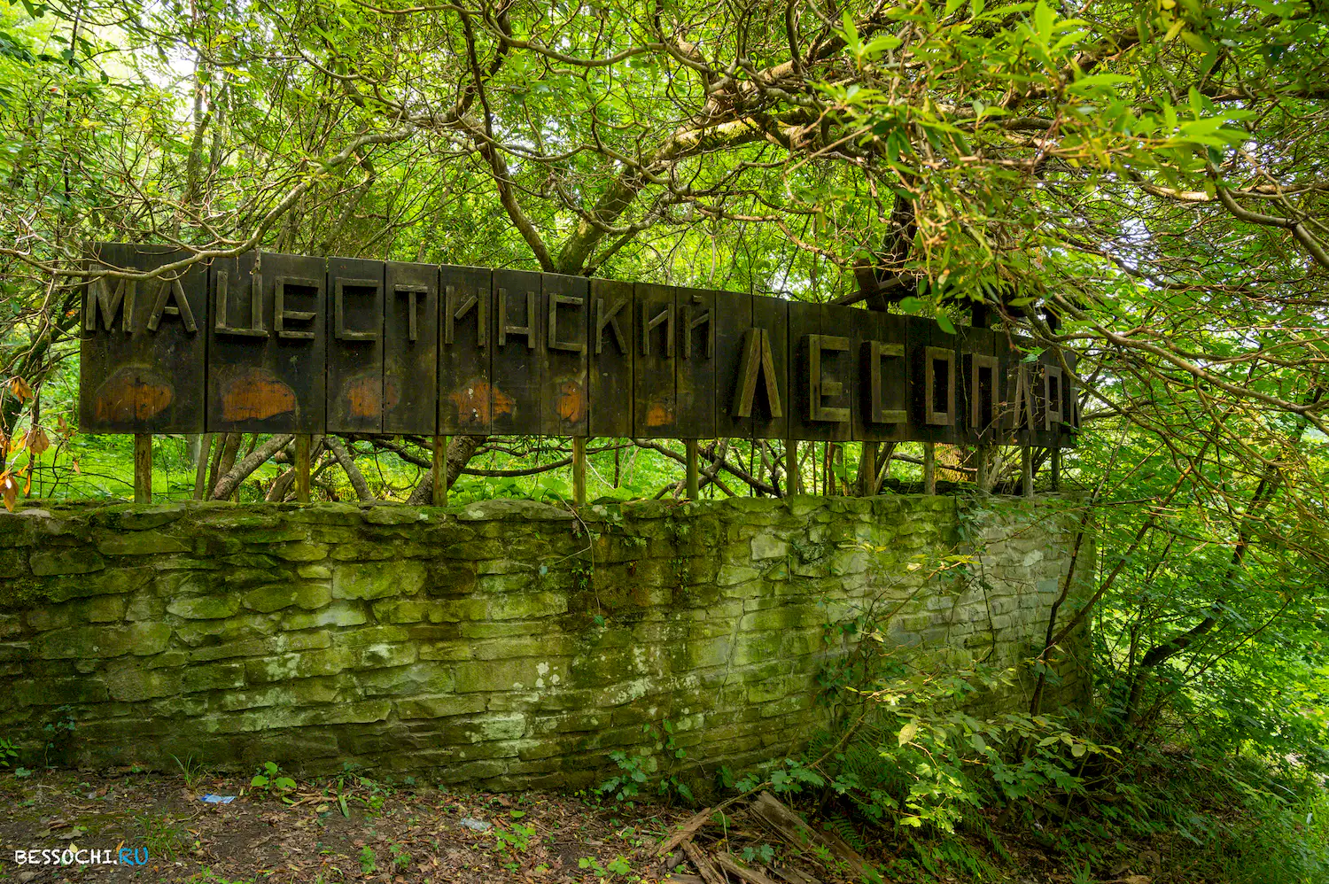 Мацестинский лесопарк