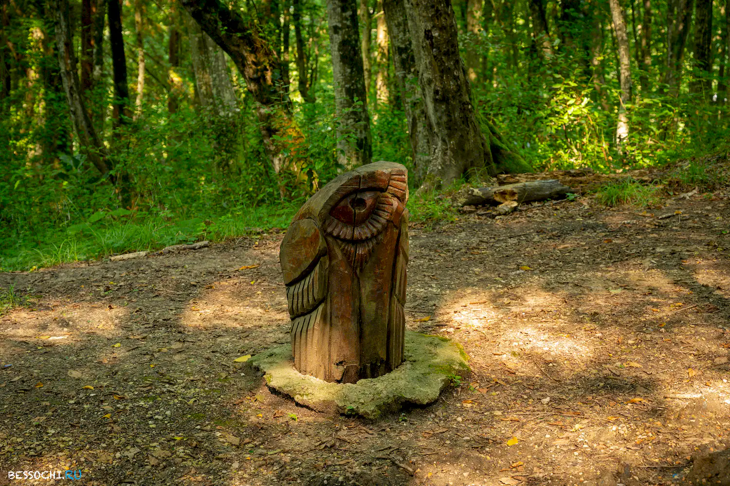 Мацестинский лесопарк