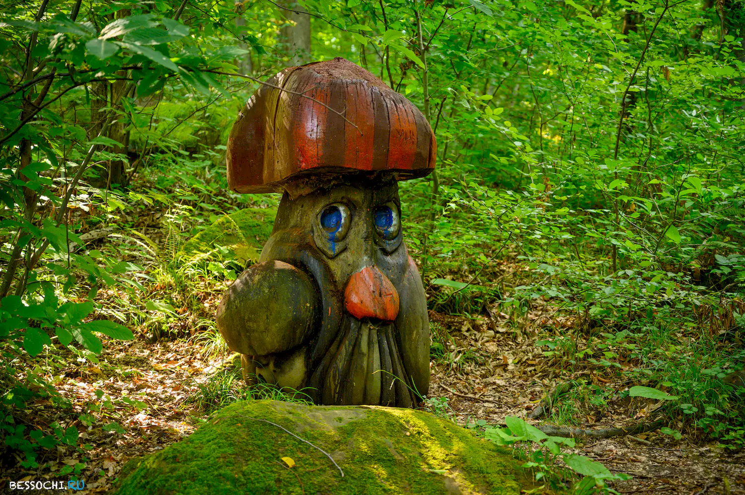 Мацестинский лесопарк