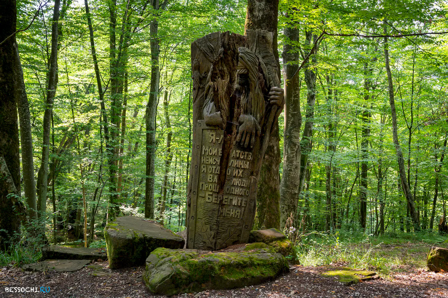 Мацестинский лесопарк