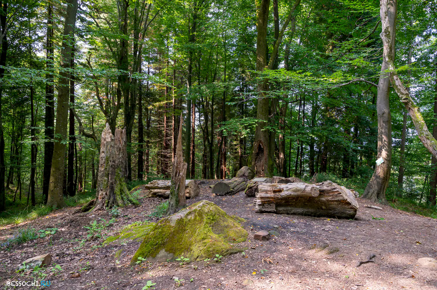 Мацестинский лесопарк