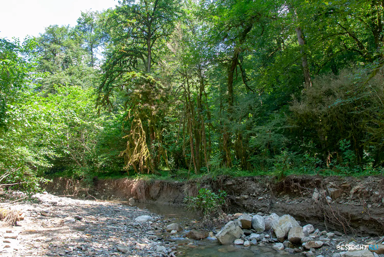 Река Кудепста